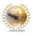 tlci logo