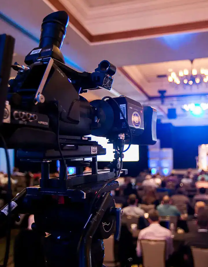 video motion design services