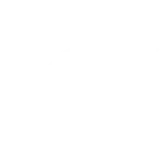 fox 200h.webp